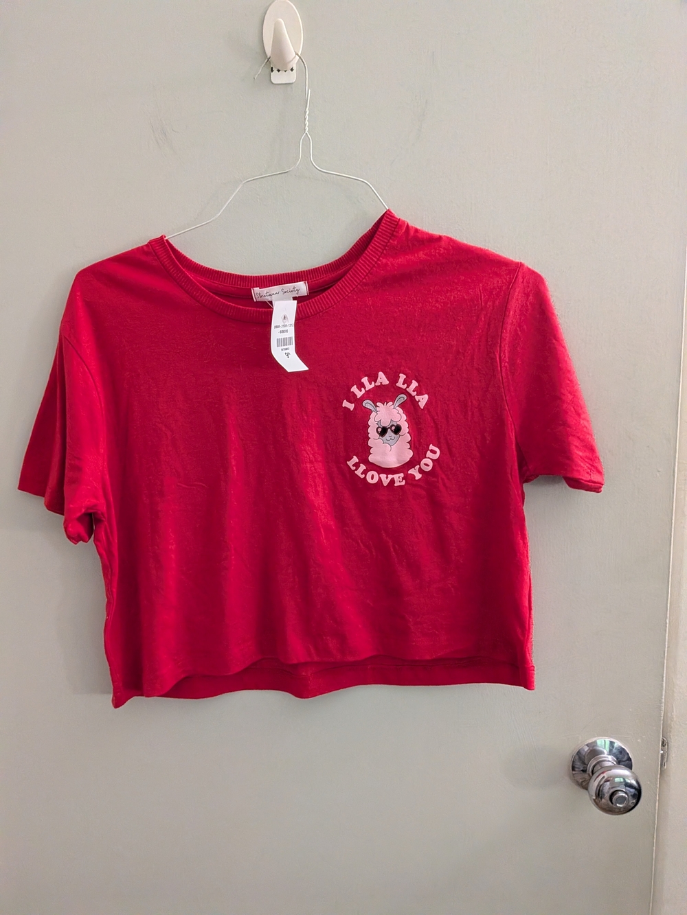 Streetwear Society NWT Llama Graphic Crop Tee - Junior Medium Summer Teen Tween